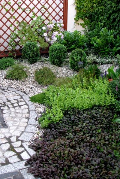 Kaskadowy ogród z okrągłymi krzewami, rabatami z roślin okrywowych w odcieniach zieleni i fioletu, żwirowym podłożem oraz kamienną ścieżką z kostki brukowej i drewnianą kratką z pnącymi roślinami...